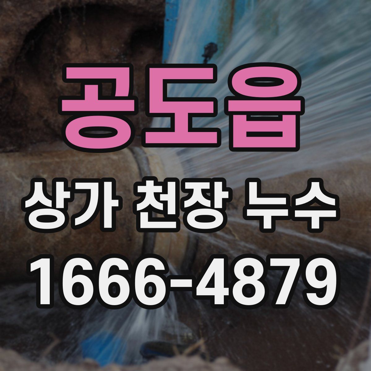 공도읍 상가 천장 누수
