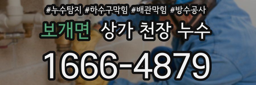 보개면 상가 천장 누수