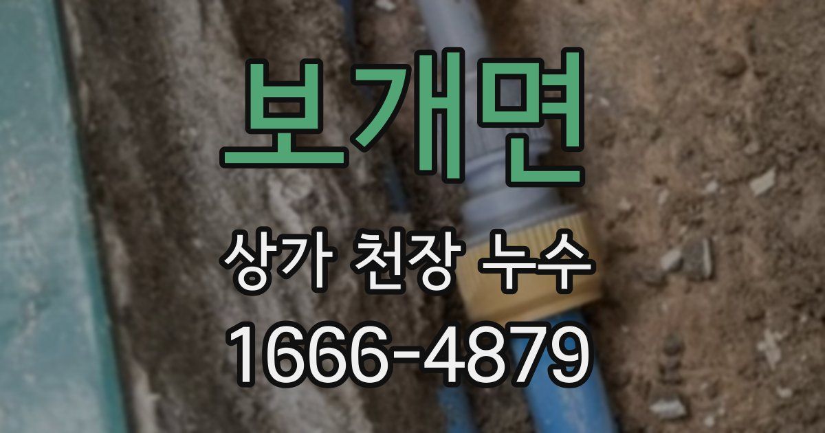 보개면 상가 천장 누수