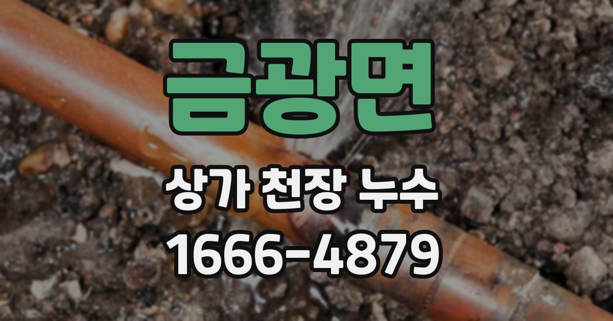 금광면 상가 천장 누수