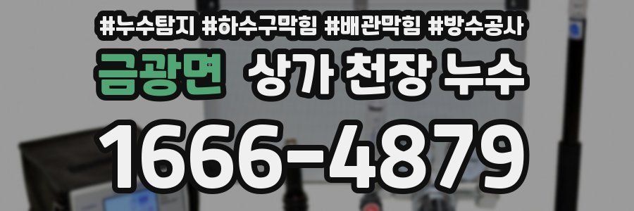 금광면 상가 천장 누수