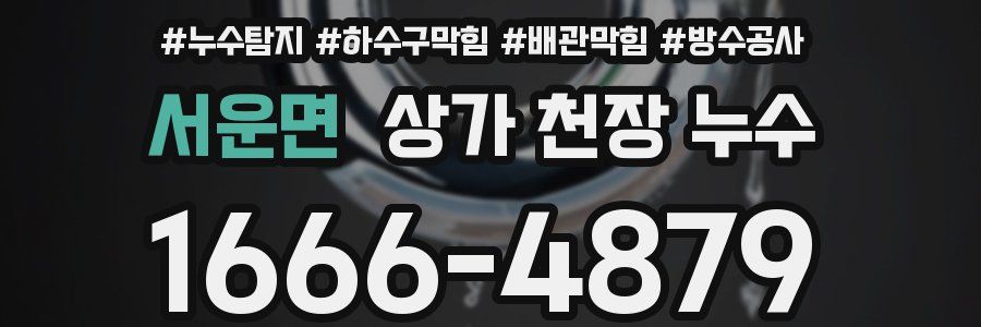서운면 상가 천장 누수