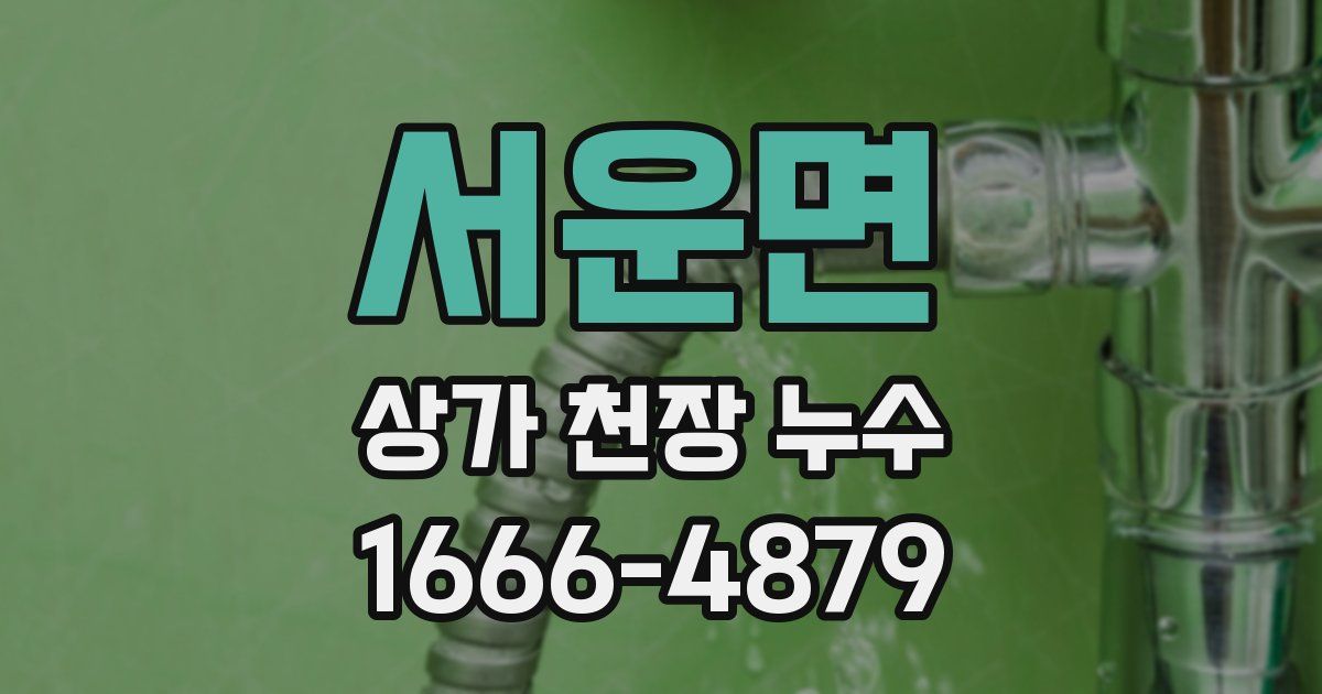 서운면 상가 천장 누수