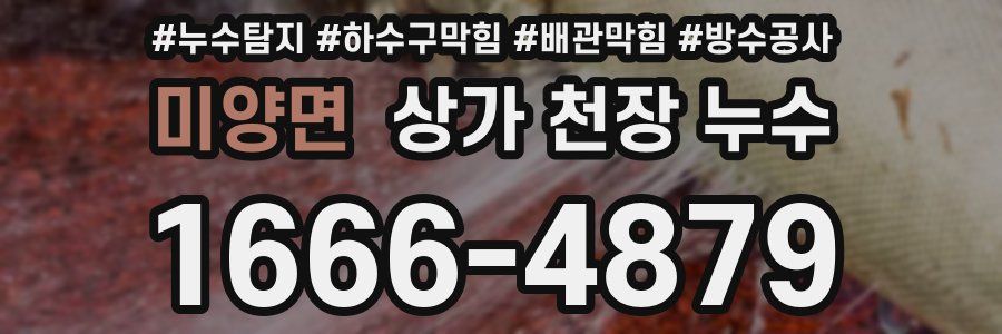 미양면 상가 천장 누수