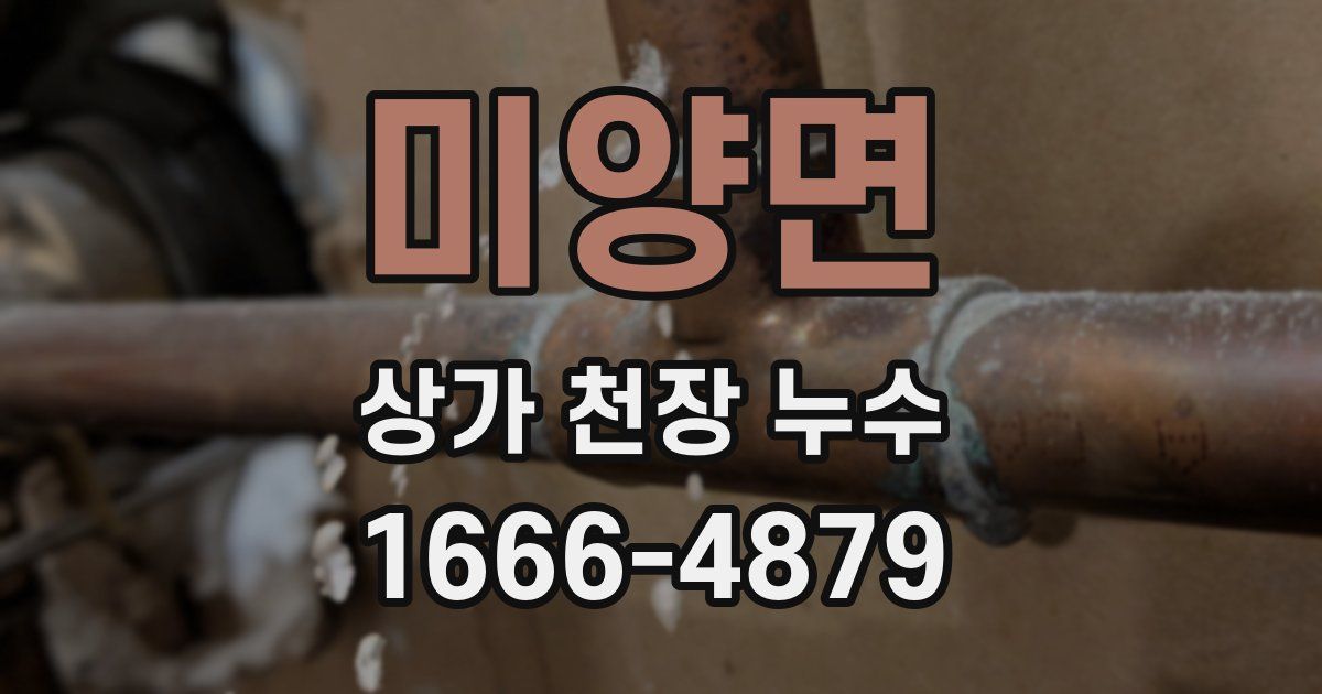 미양면 상가 천장 누수
