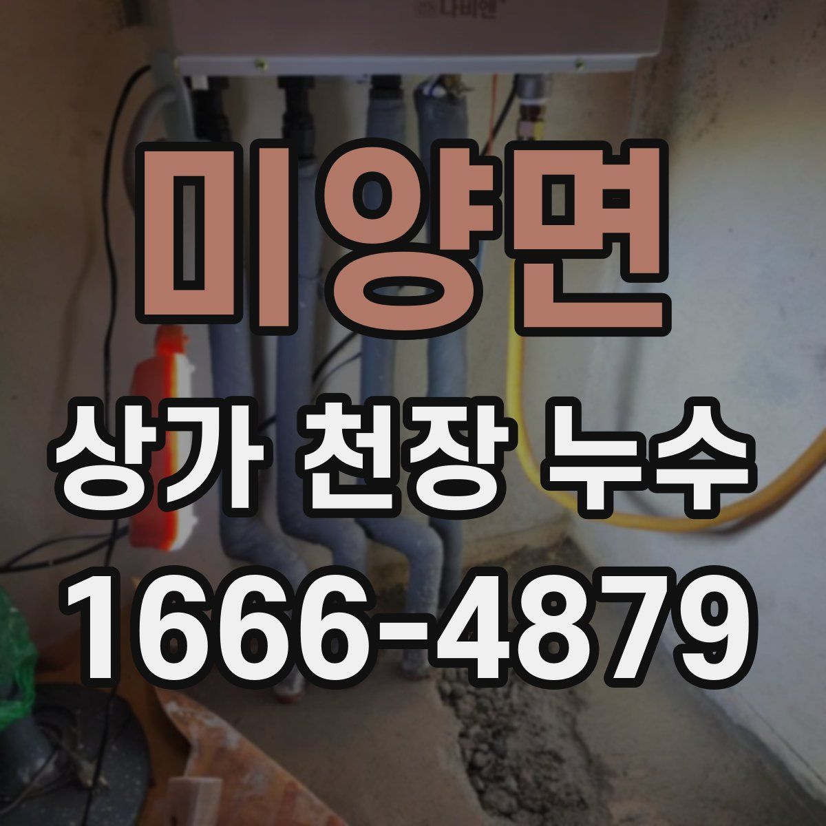 미양면 상가 천장 누수