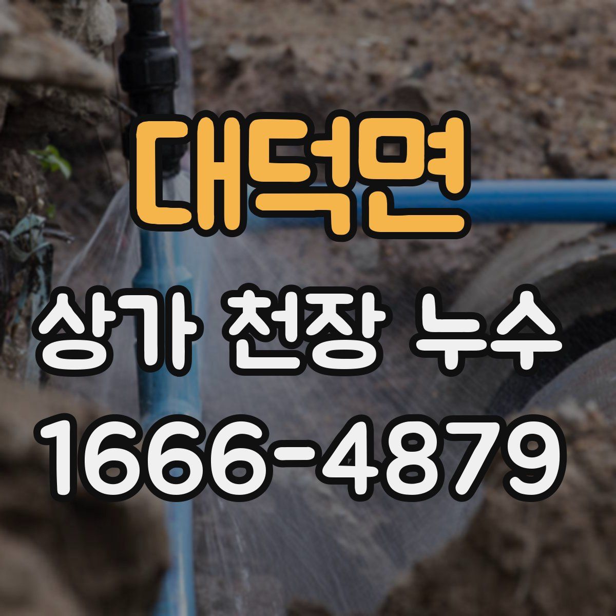 대덕면 상가 천장 누수
