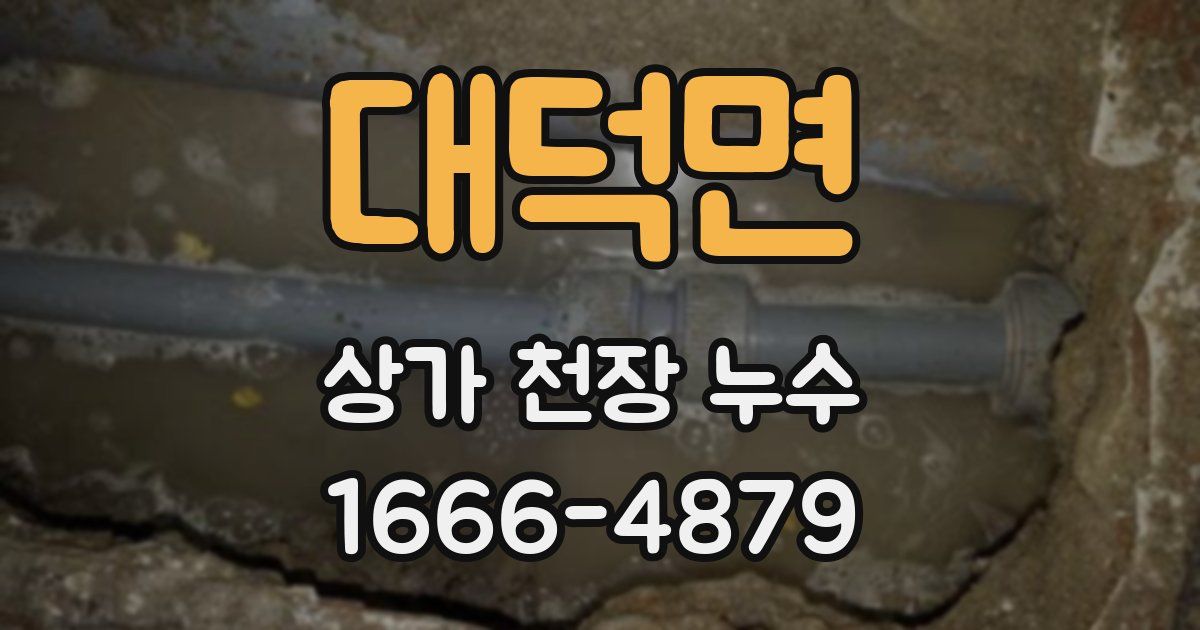 대덕면 상가 천장 누수