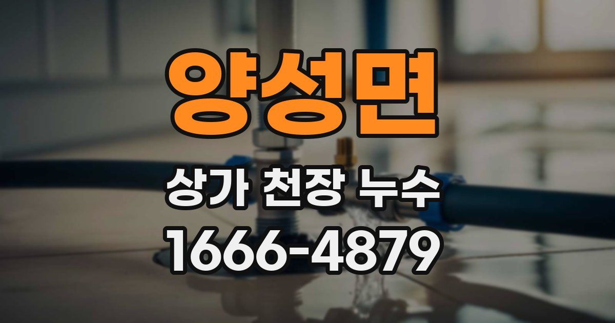 양성면 상가 천장 누수