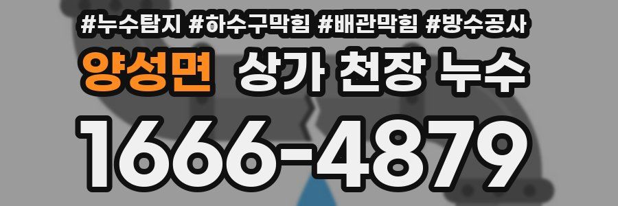 양성면 상가 천장 누수