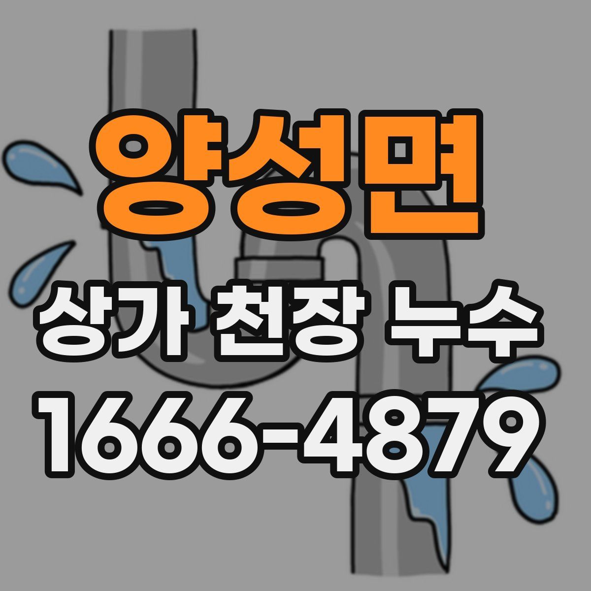 양성면 상가 천장 누수