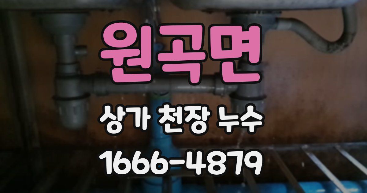 원곡면 상가 천장 누수