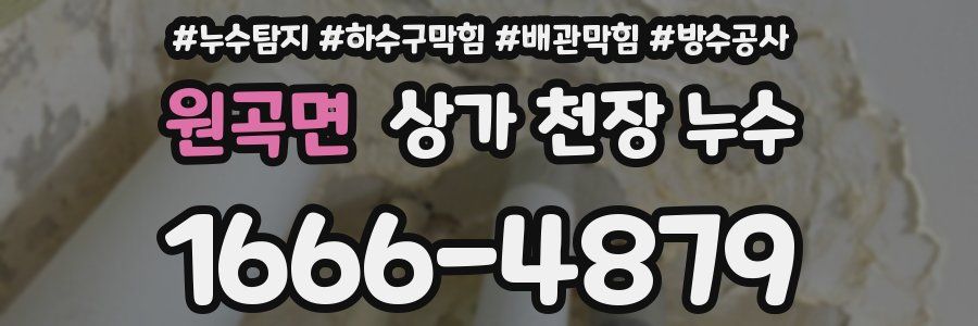 원곡면 상가 천장 누수