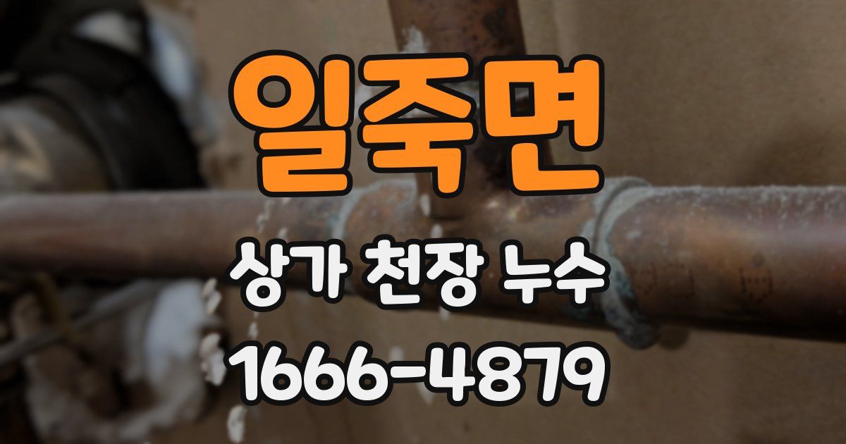 일죽면 상가 천장 누수
