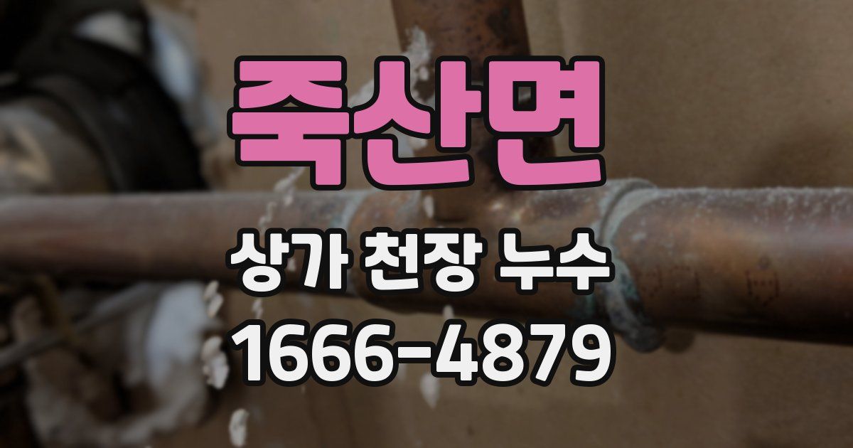 죽산면 상가 천장 누수