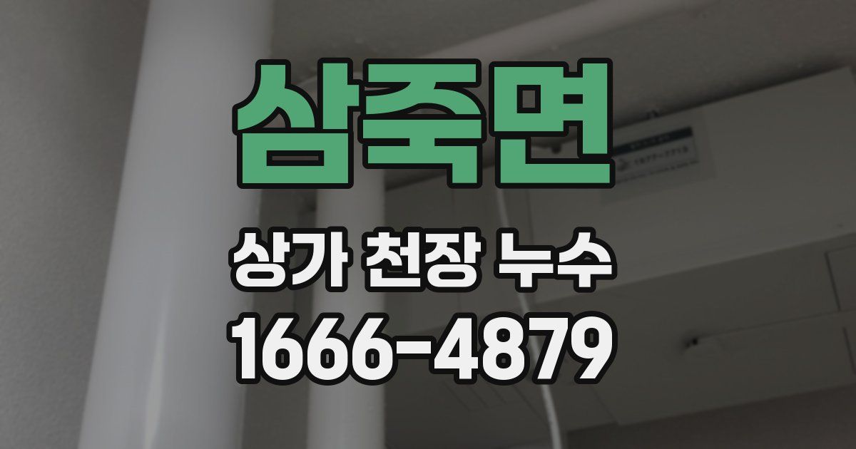 삼죽면 상가 천장 누수
