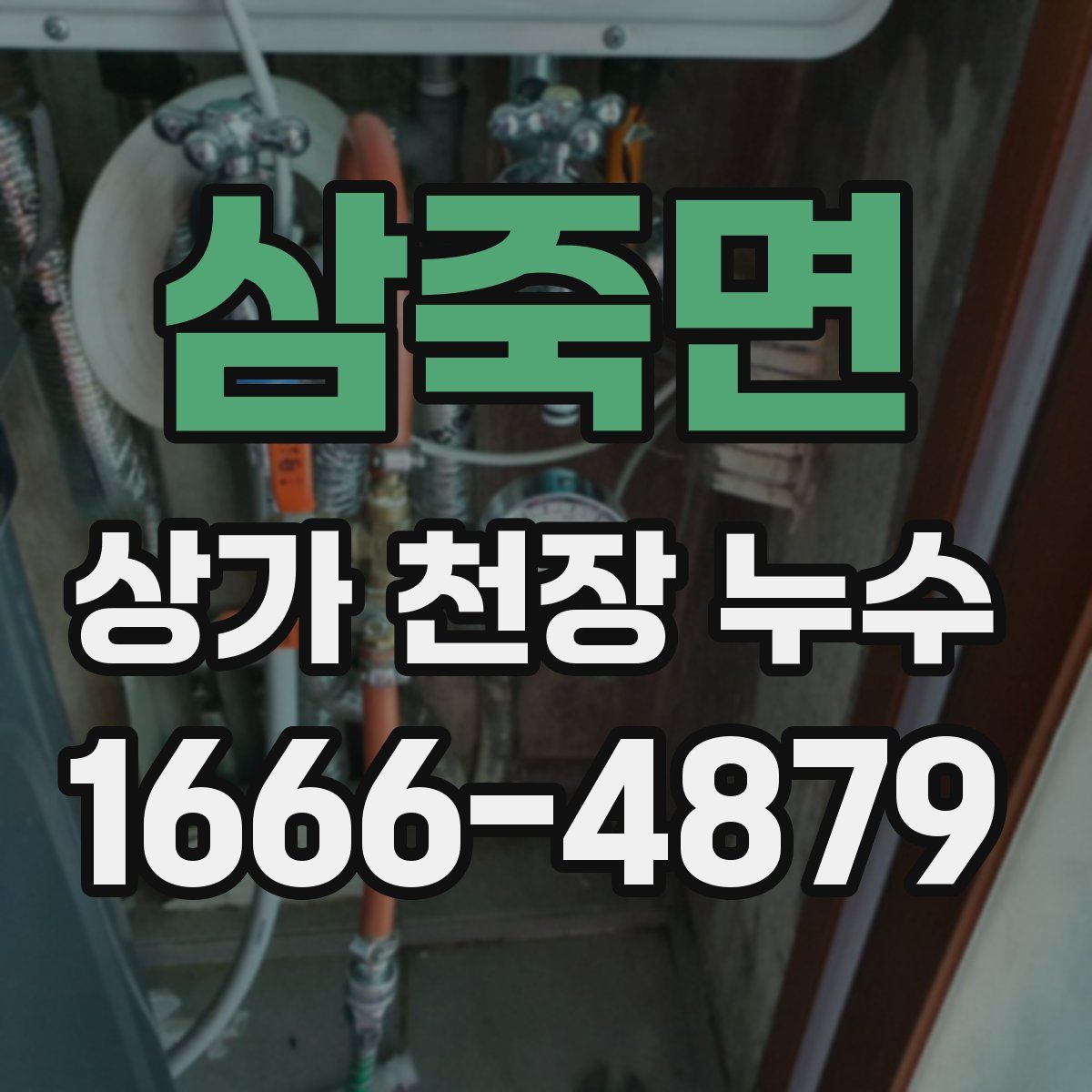 삼죽면 상가 천장 누수