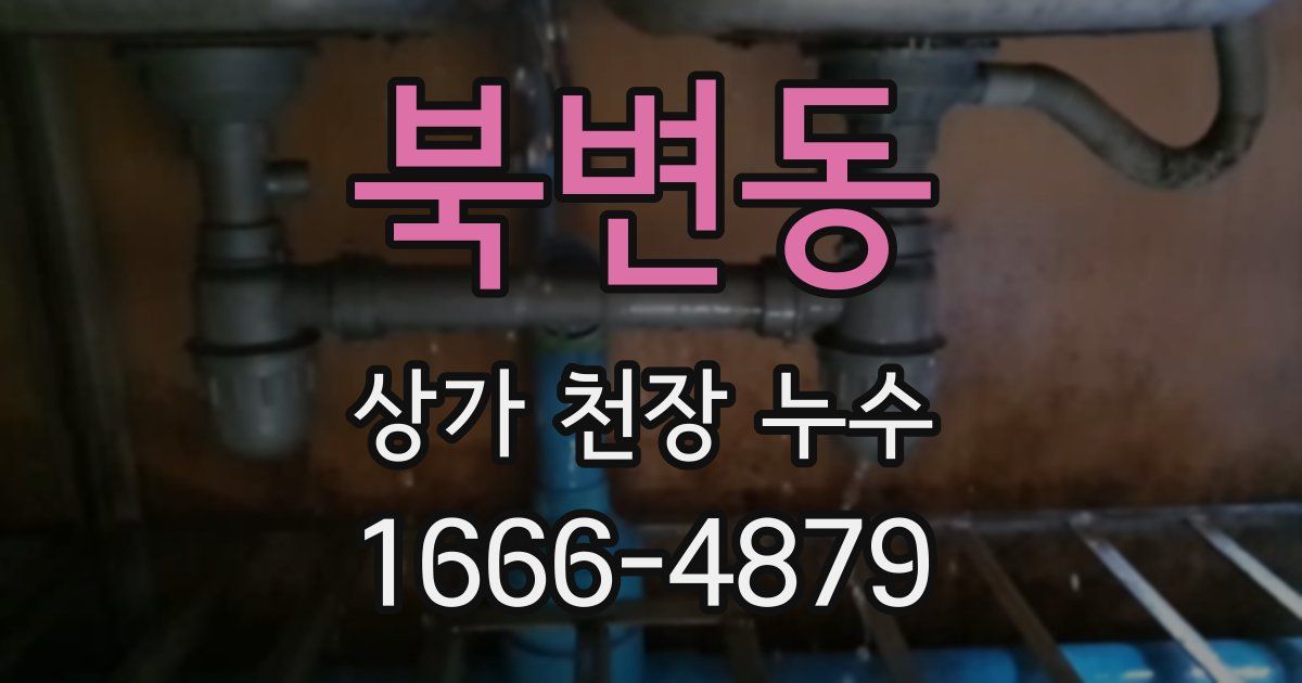 북변동 상가 천장 누수