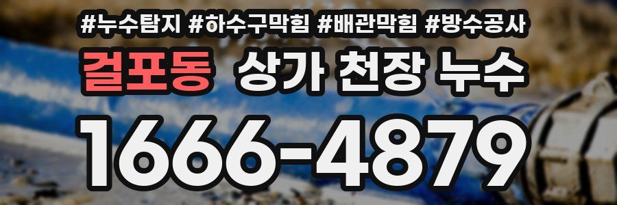 걸포동 상가 천장 누수