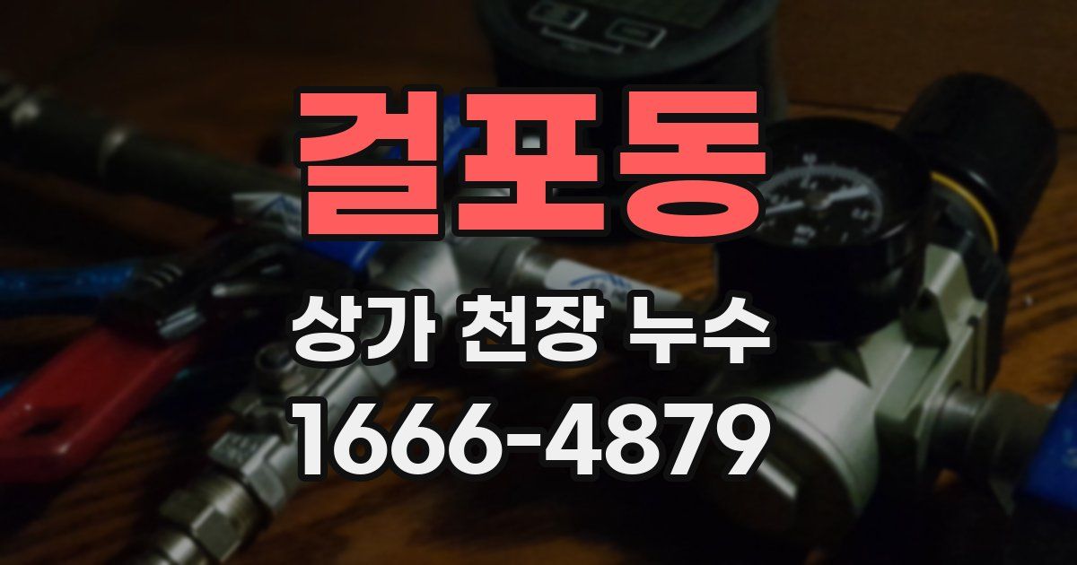 걸포동 상가 천장 누수
