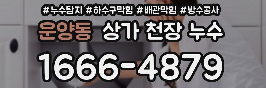 운양동 상가 천장 누수