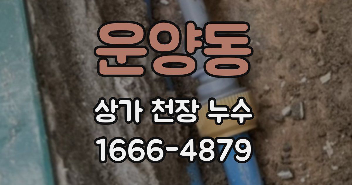 운양동 상가 천장 누수