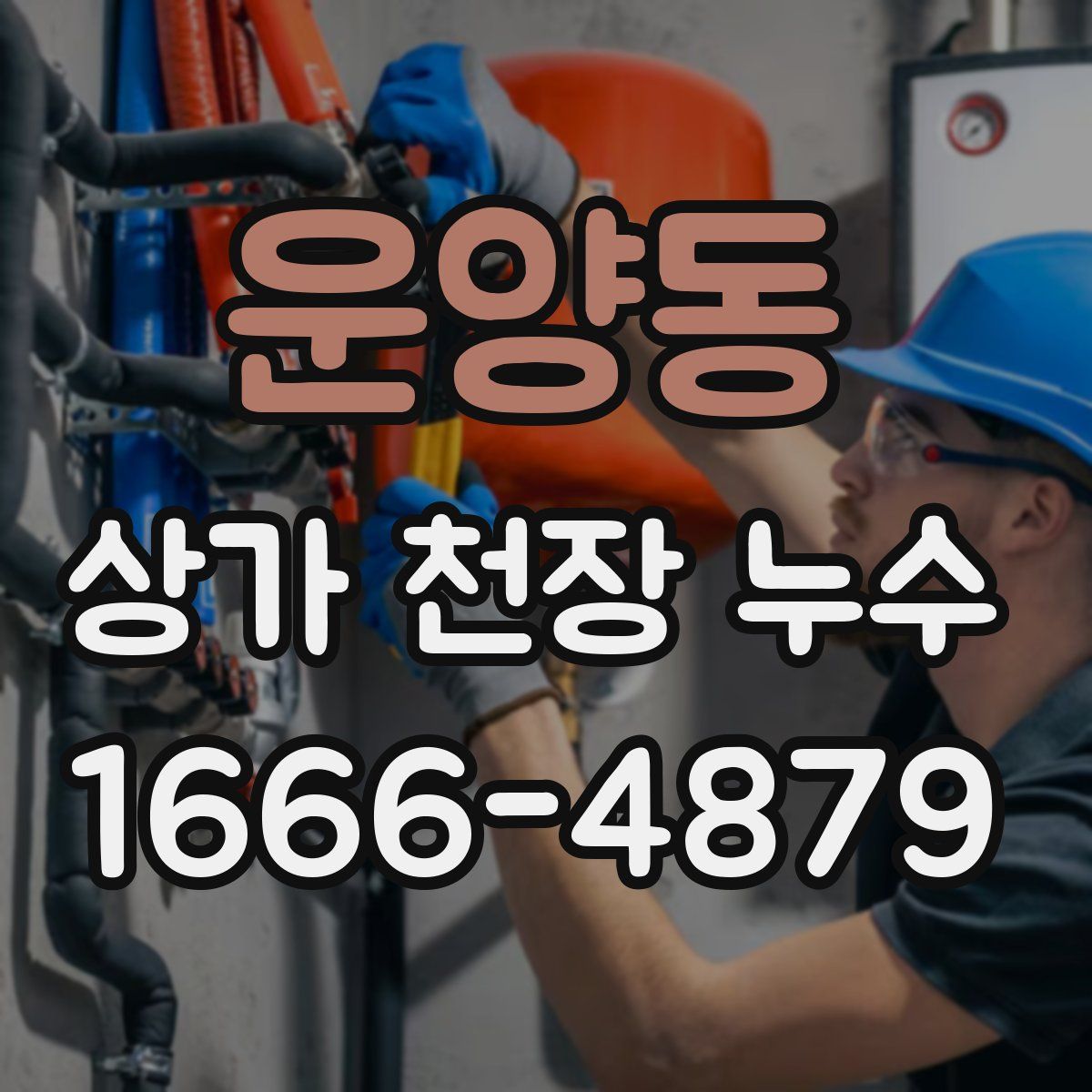 운양동 상가 천장 누수