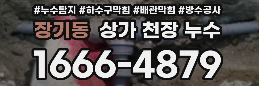 장기동 상가 천장 누수