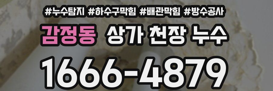 감정동 상가 천장 누수