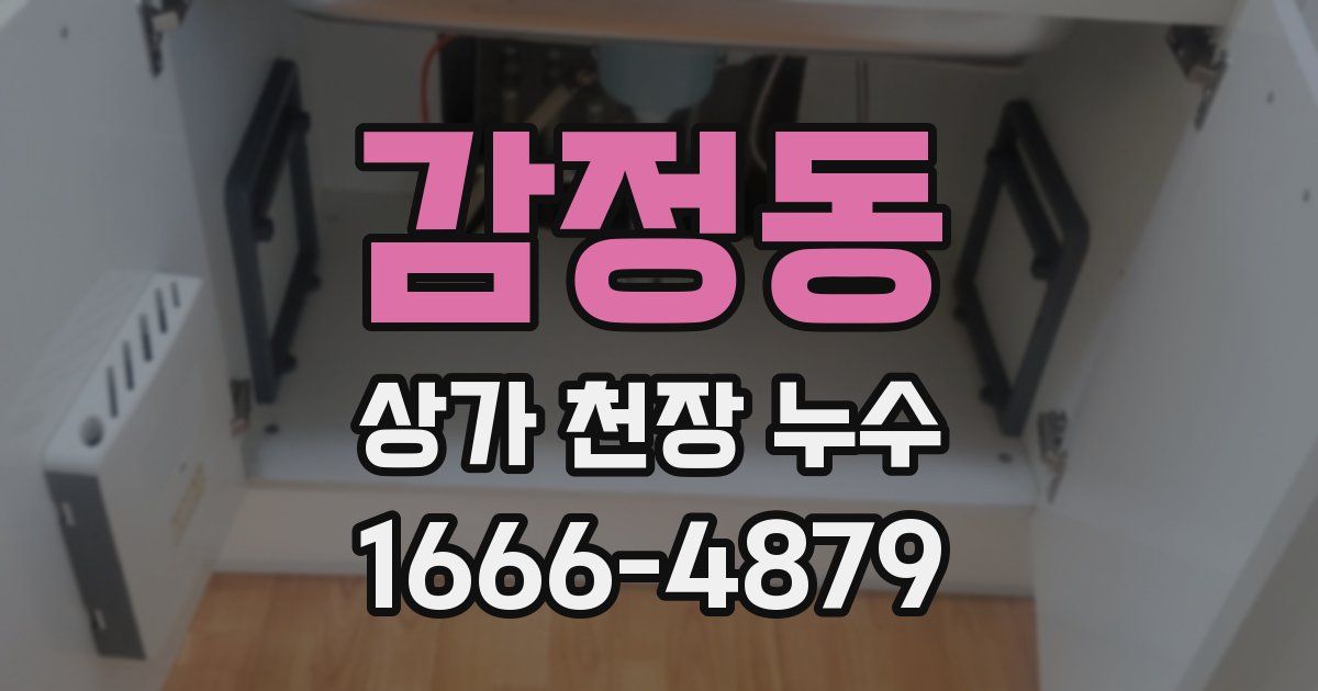 감정동 상가 천장 누수