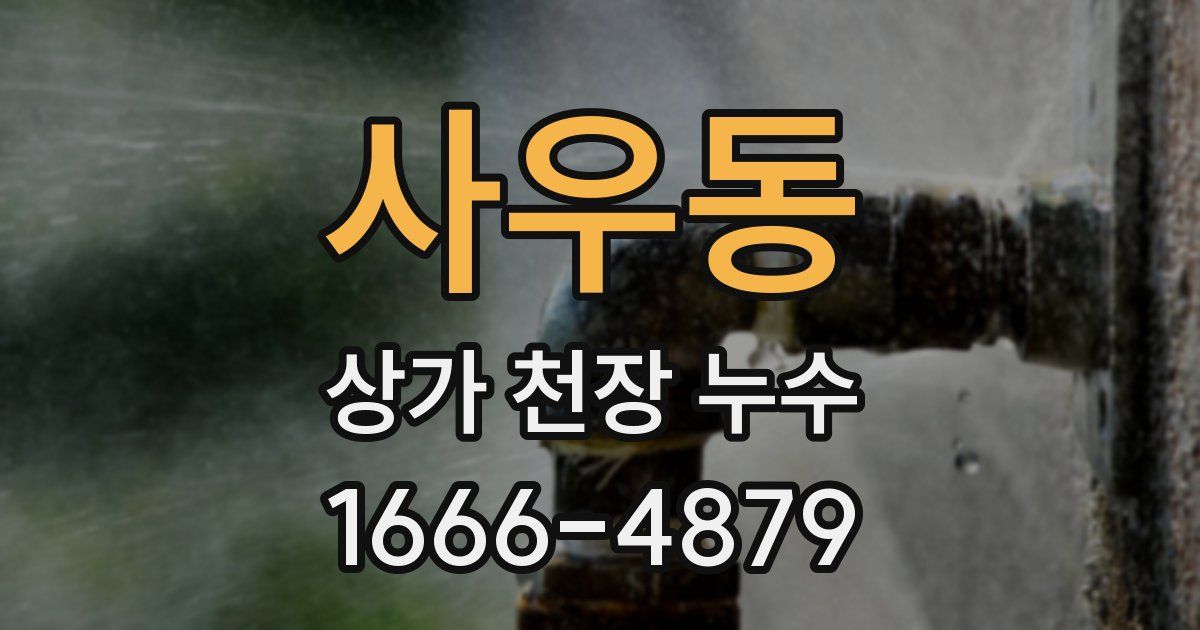 사우동 상가 천장 누수