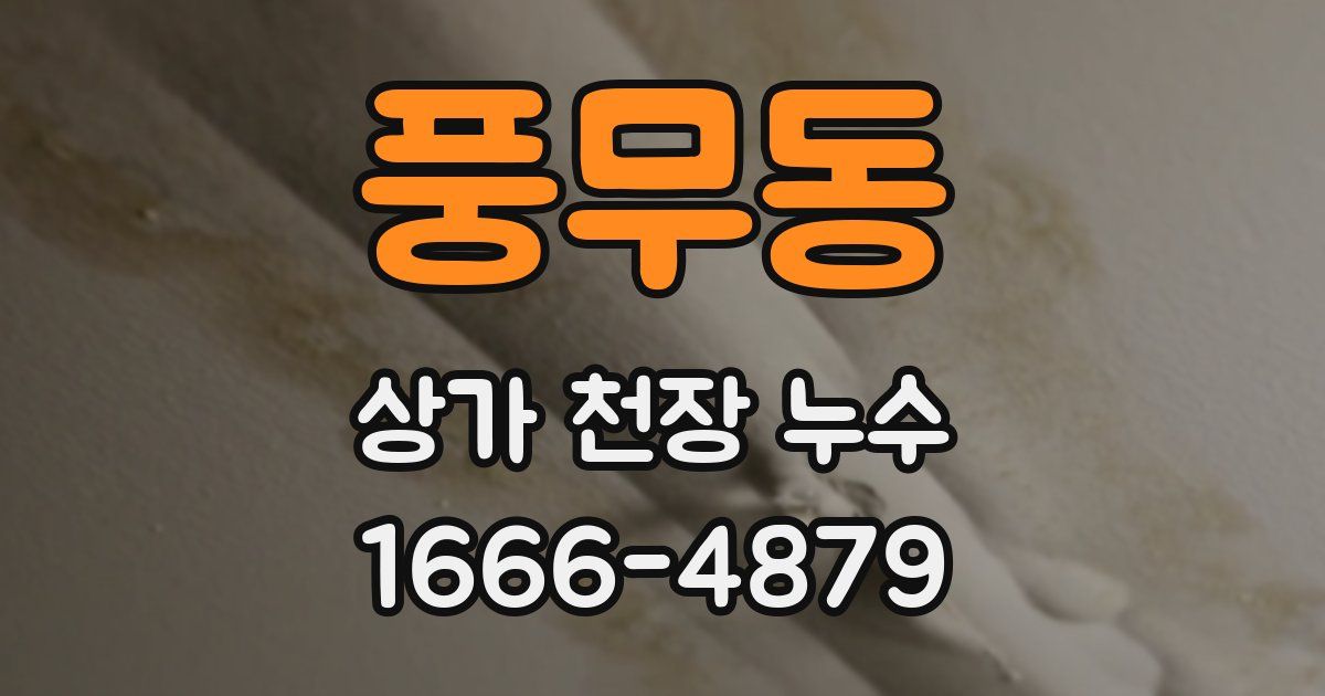 풍무동 상가 천장 누수