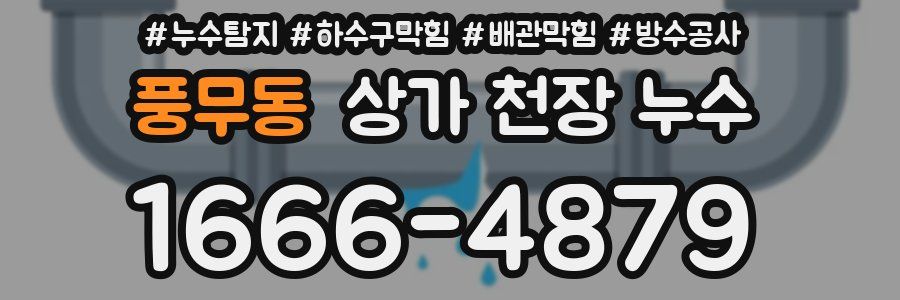 풍무동 상가 천장 누수