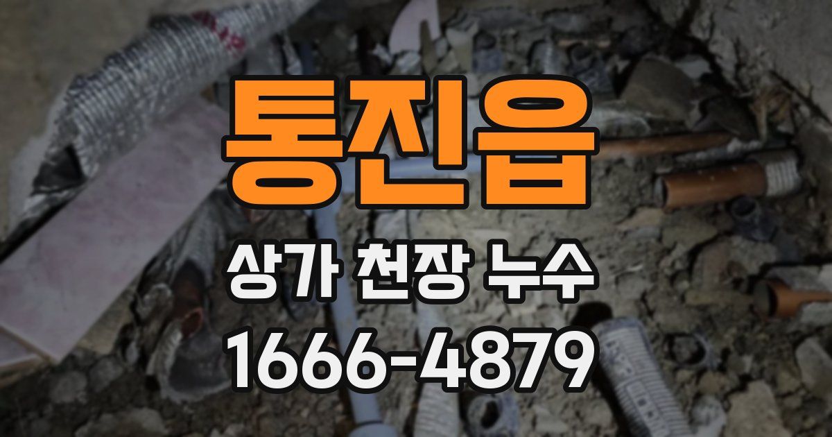 통진읍 상가 천장 누수