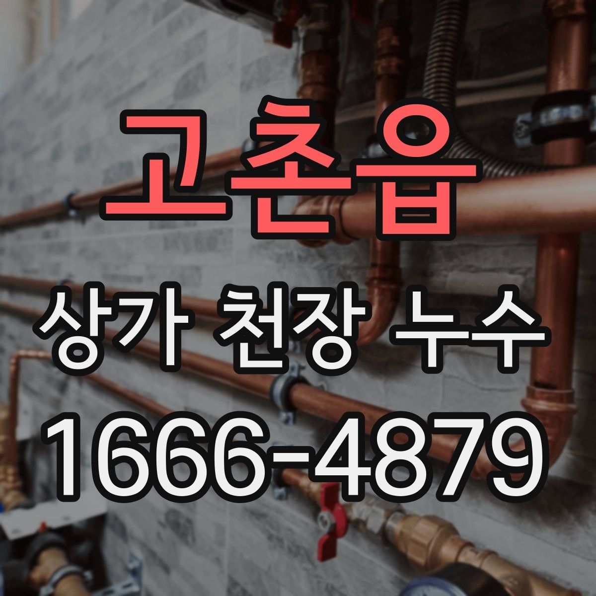 고촌읍 상가 천장 누수