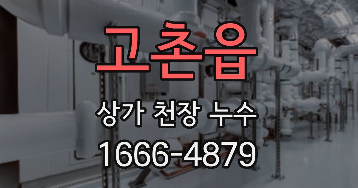 고촌읍 상가 천장 누수