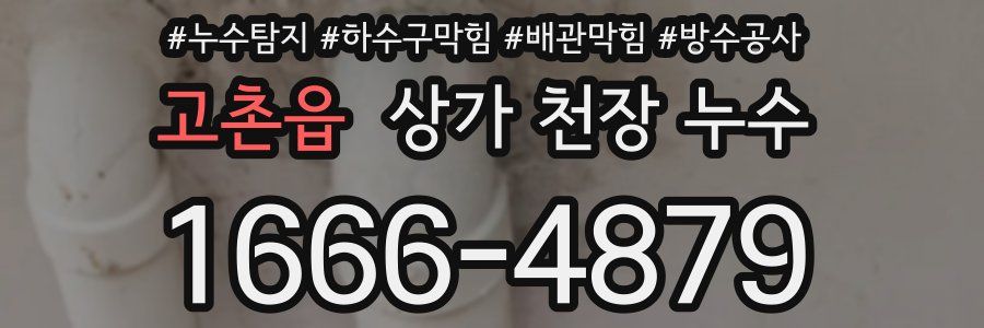 고촌읍 상가 천장 누수
