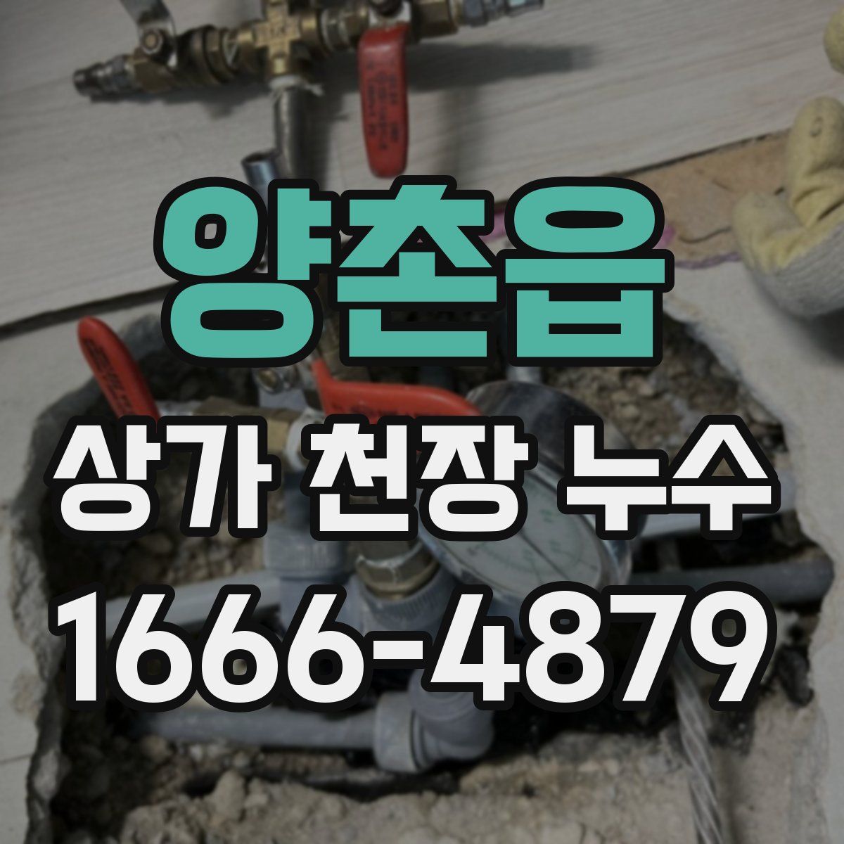 양촌읍 상가 천장 누수
