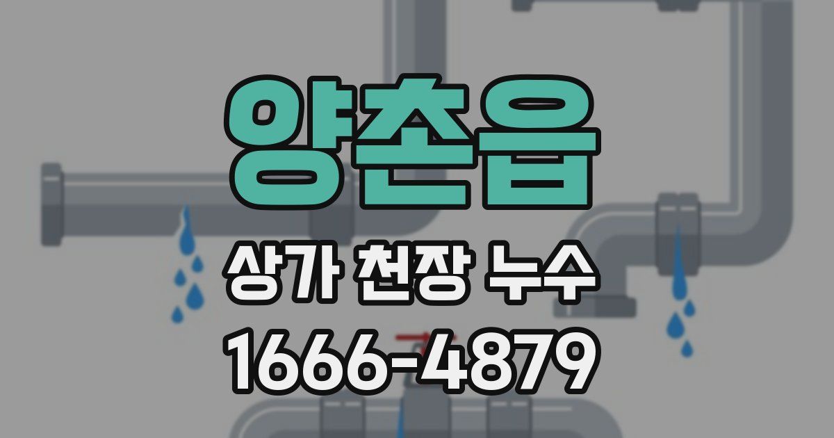 양촌읍 상가 천장 누수