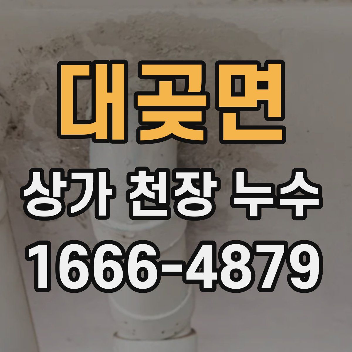 대곶면 상가 천장 누수