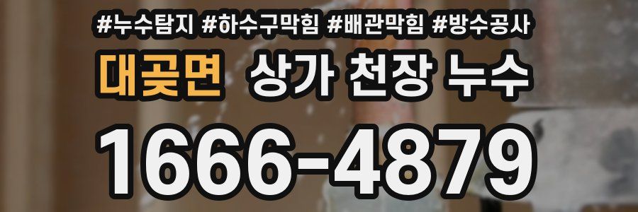 대곶면 상가 천장 누수