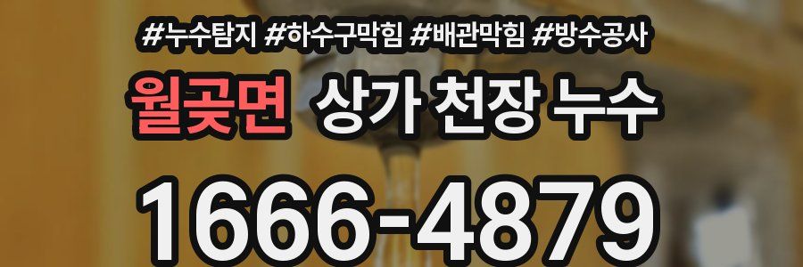 월곶면 상가 천장 누수