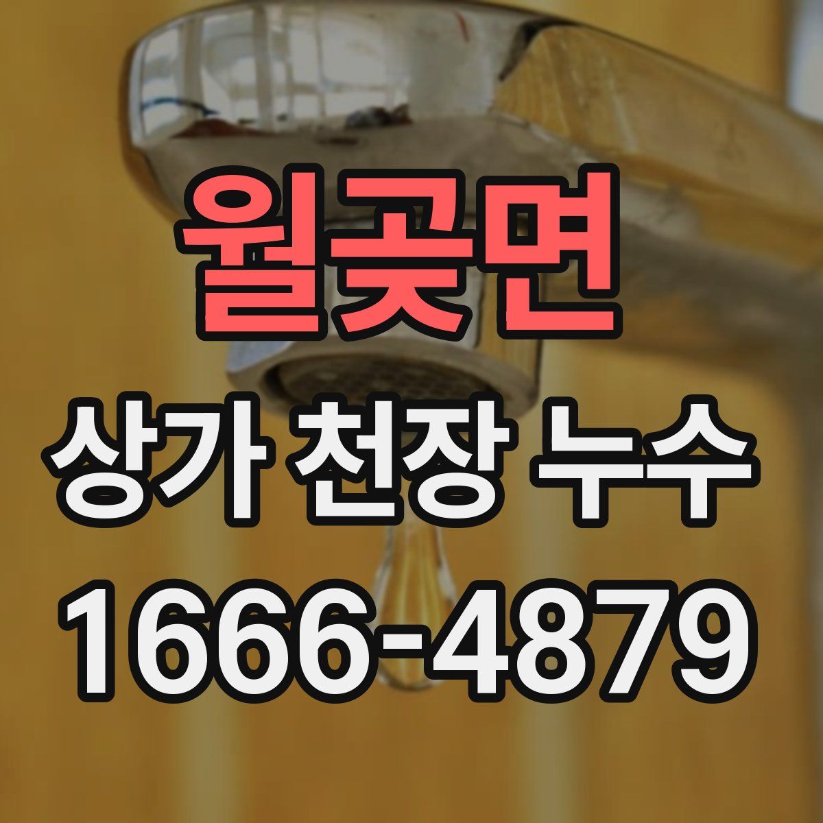 월곶면 상가 천장 누수