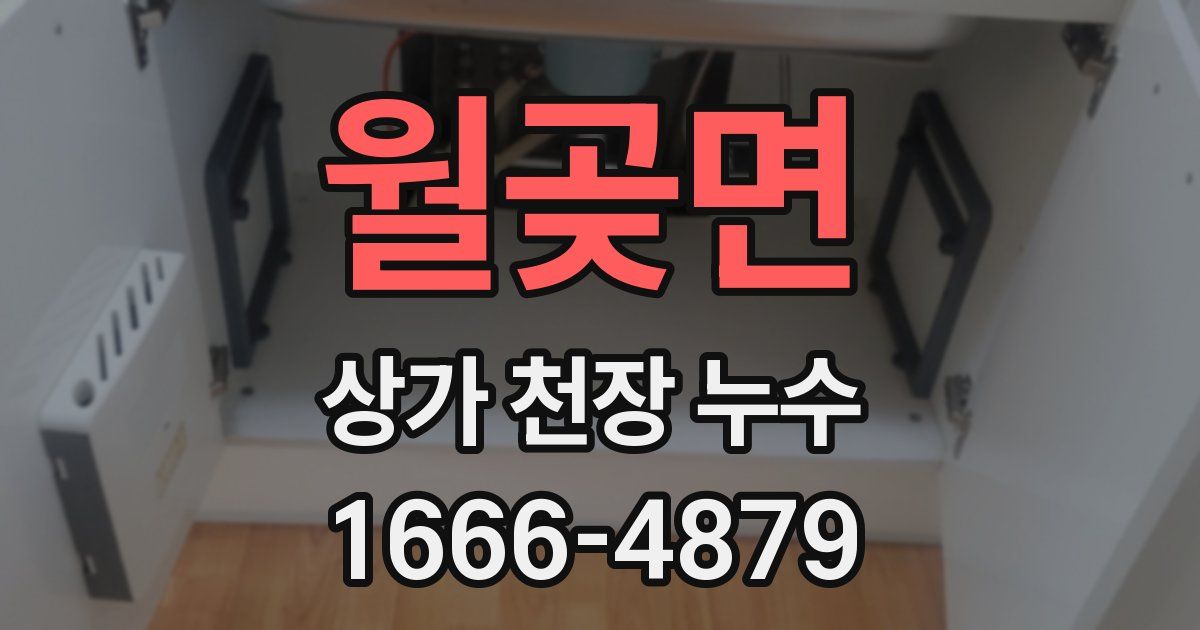 월곶면 상가 천장 누수