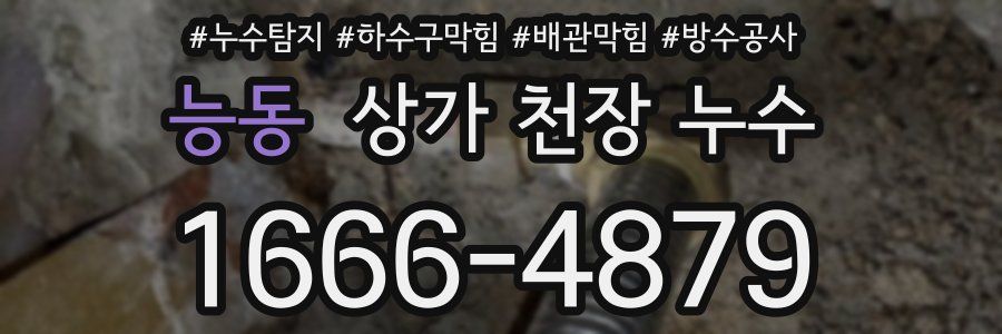 능동 상가 천장 누수