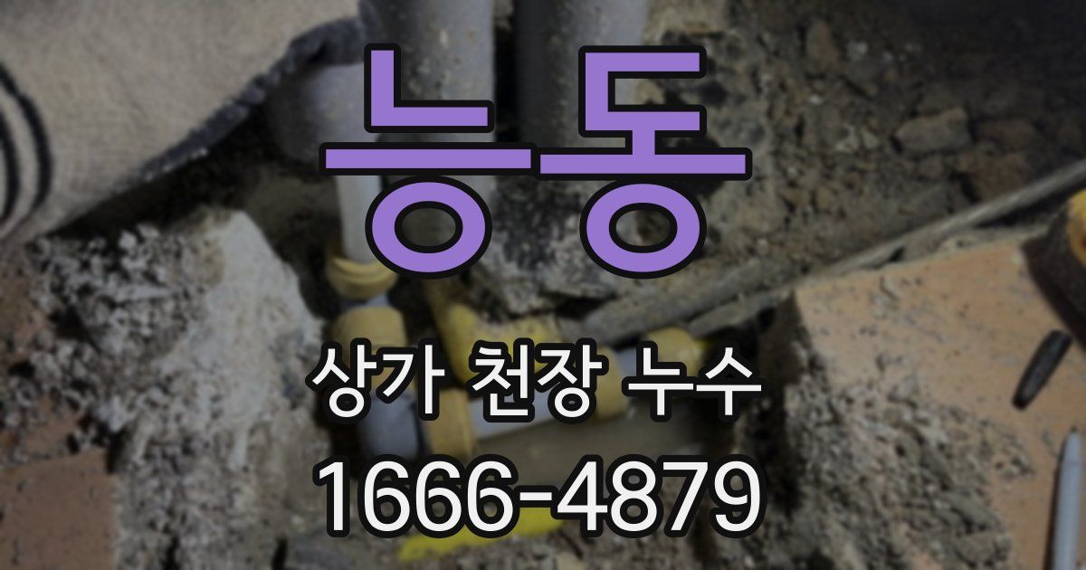 능동 상가 천장 누수
