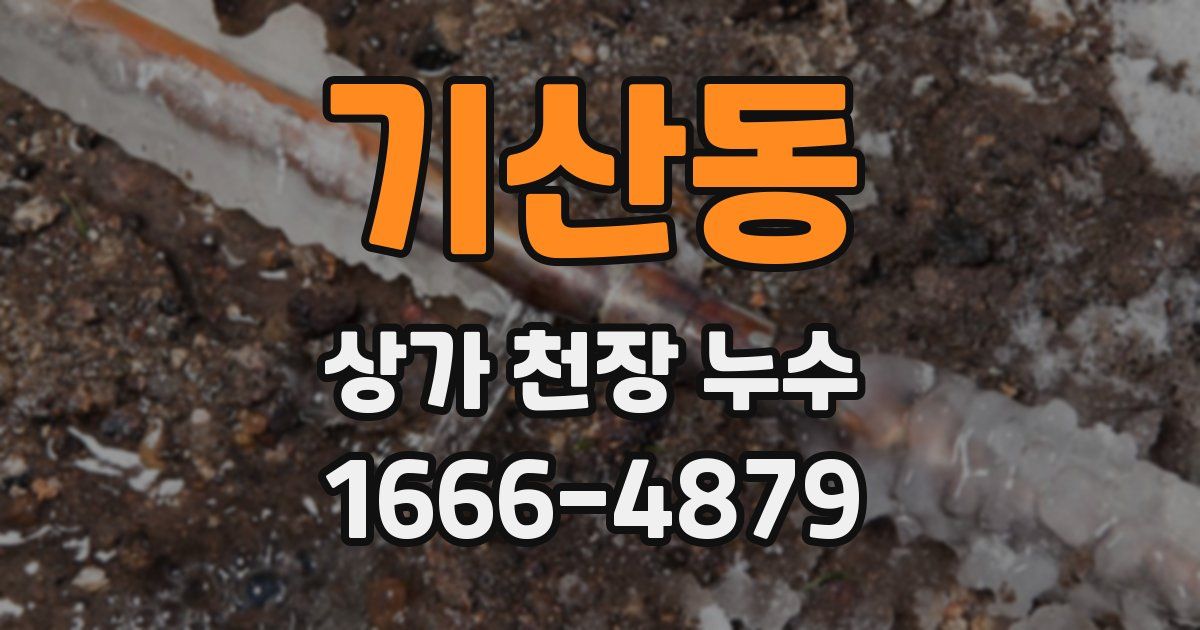 기산동 상가 천장 누수