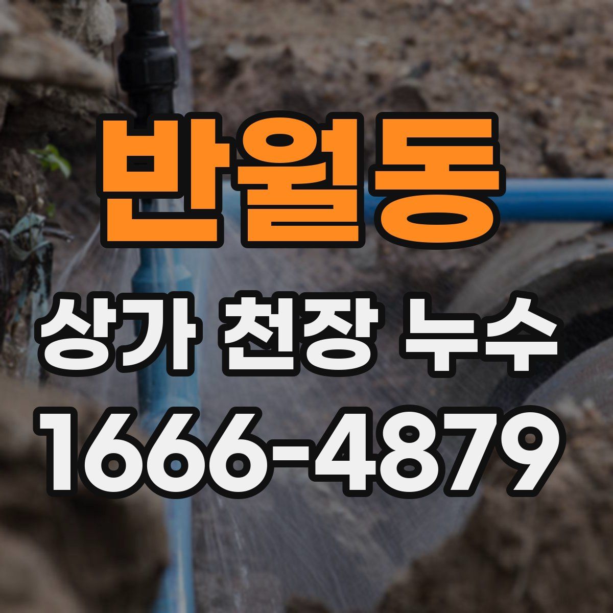 반월동 상가 천장 누수