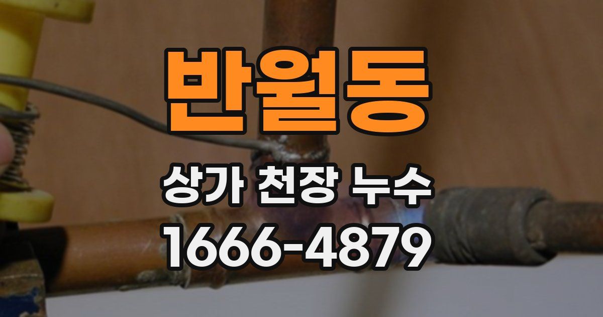 반월동 상가 천장 누수