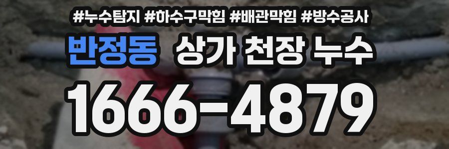 반정동 상가 천장 누수